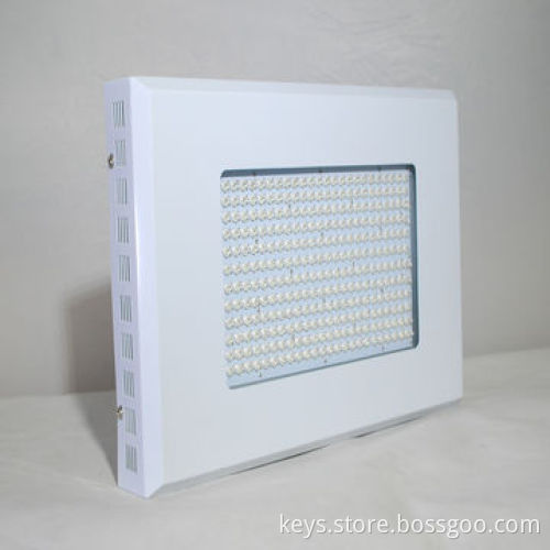 High Power 1,1520lm 3 Watts White LED Plant Grow Lights Bulb, 85-264V or Hydroponics